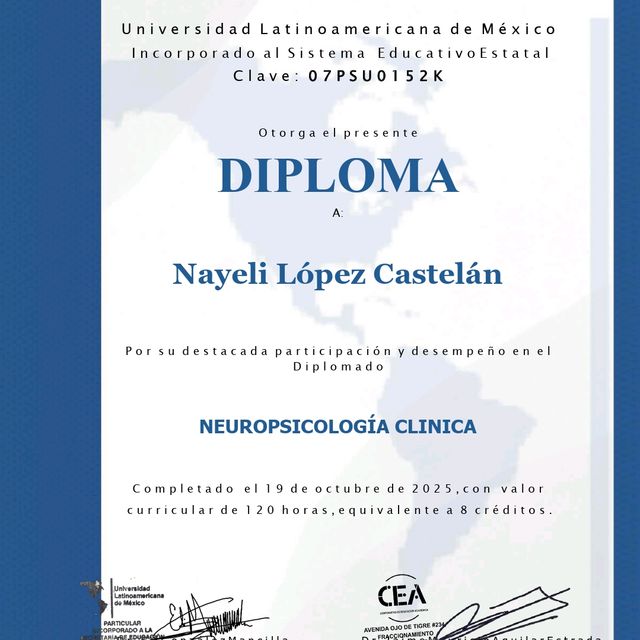 Ampliar imagen: certificate 1