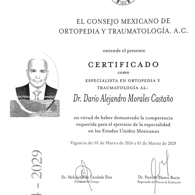 Ampliar imagen: certificate 1