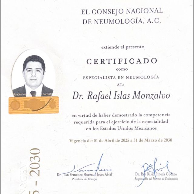 Ampliar imagen: certificate 1