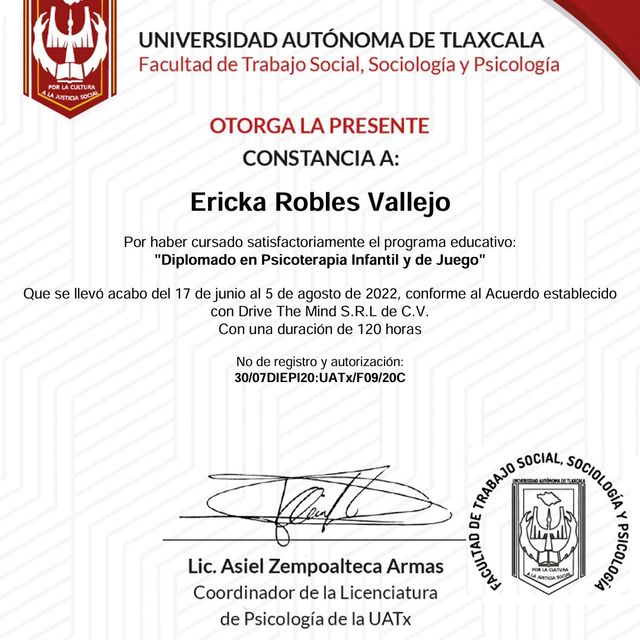 Ampliar imagen: certificate 4