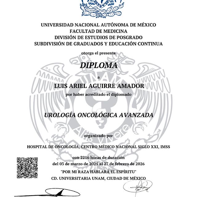 Ampliar imagen: certificate 2