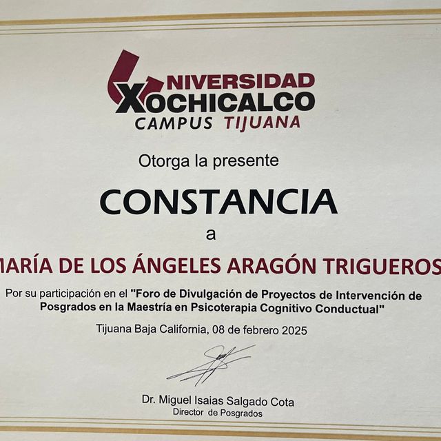 Ampliar imagen: certificate 4