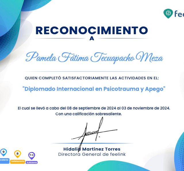 Ampliar imagen: certificate 24