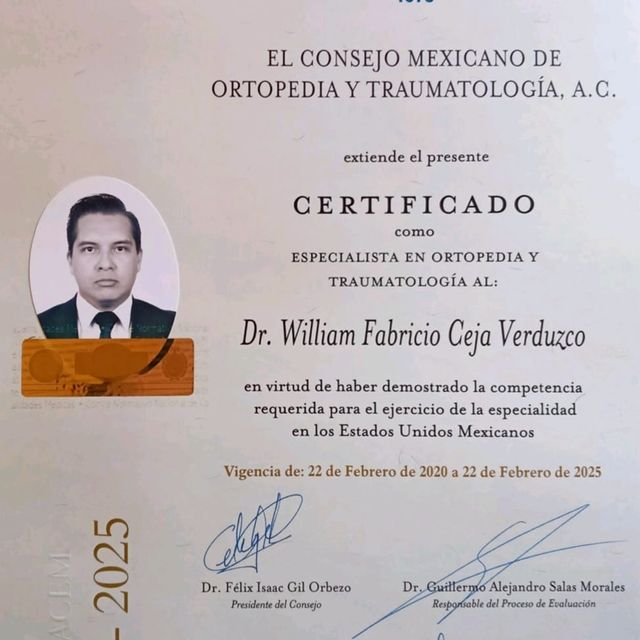 Ampliar imagen: certificate 6