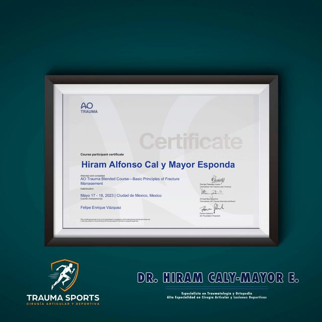 Ampliar imagen: certificate 6