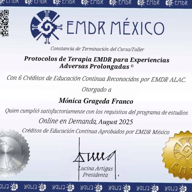 Ampliar imagen: certificate 6