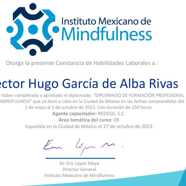 Ampliar imagen: certificate 24