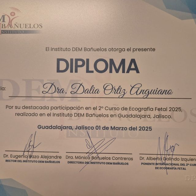Ampliar imagen: certificate 3