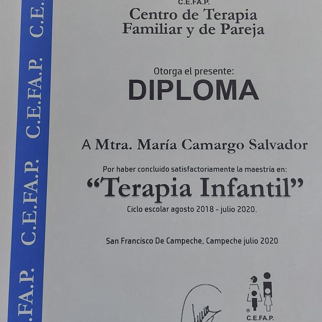 Ampliar imagen: certificate 12