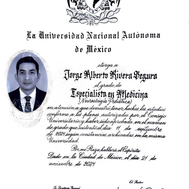 Ampliar imagen: certificate 3