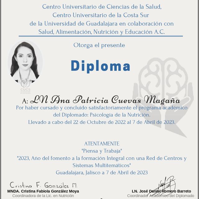 Ampliar imagen: certificate 6