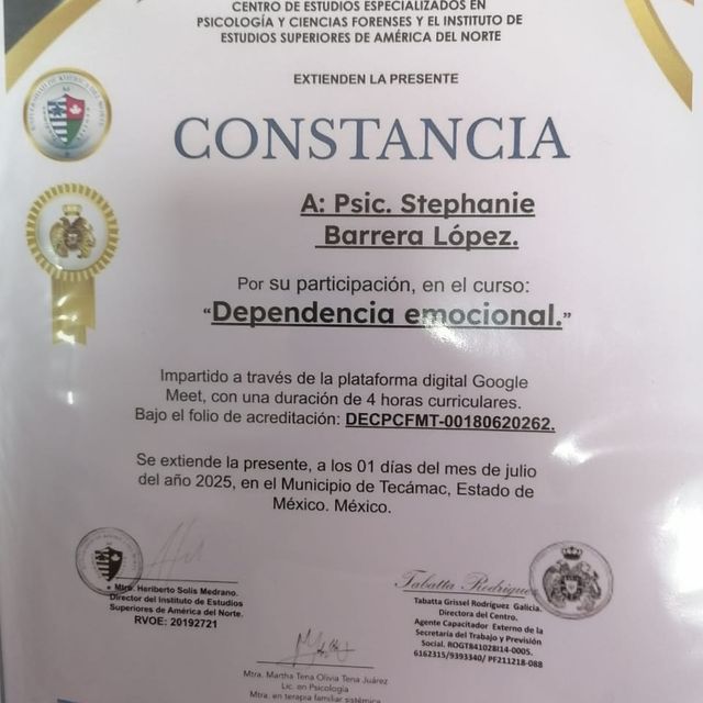 Ampliar imagen: certificate 21