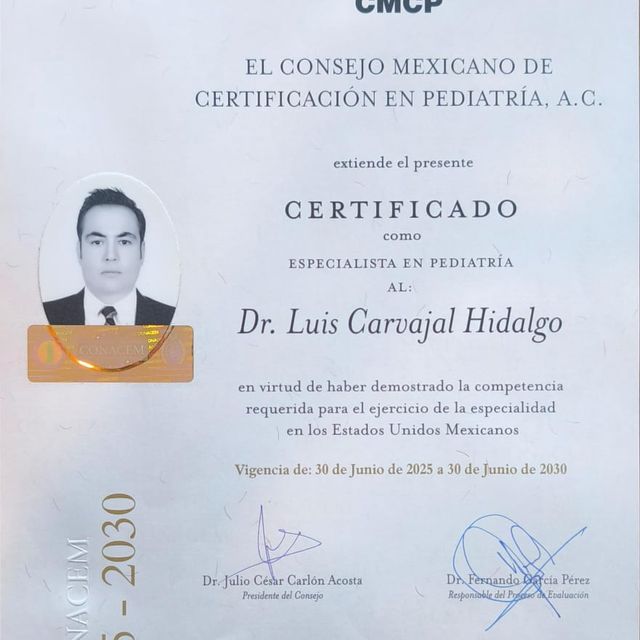 Ampliar imagen: certificate 3