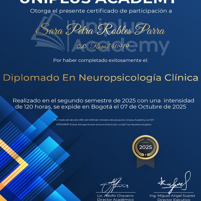 Ampliar imagen: certificate 3