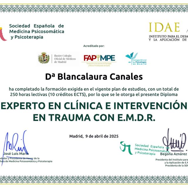 Ampliar imagen: certificate 2