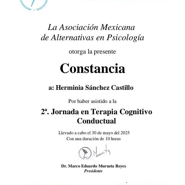 Ampliar imagen: certificate 3