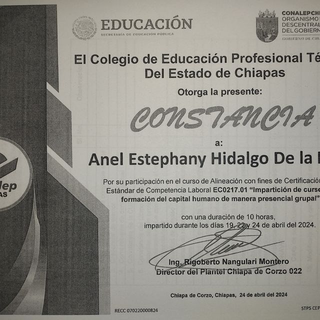 Ampliar imagen: certificate 14