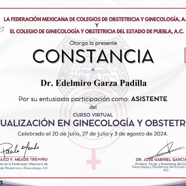 Ampliar imagen: certificate 7