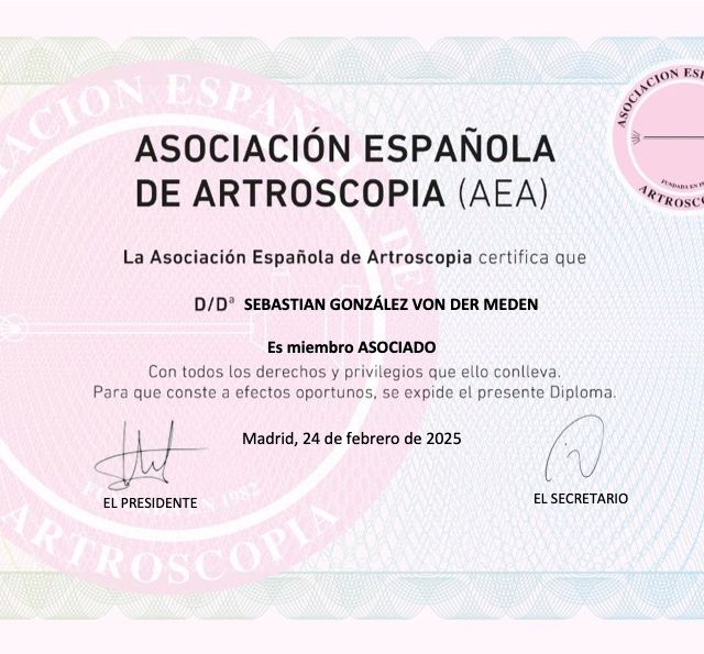 Ampliar imagen: certificate 3