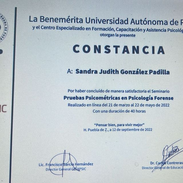 Ampliar imagen: certificate 3