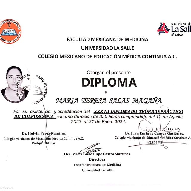 Ampliar imagen: certificate 3