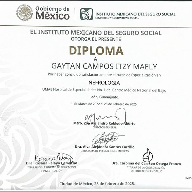 Ampliar imagen: certificate 2