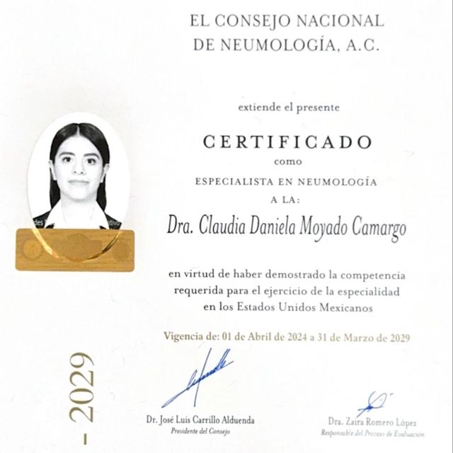 Ampliar imagen: certificate 1