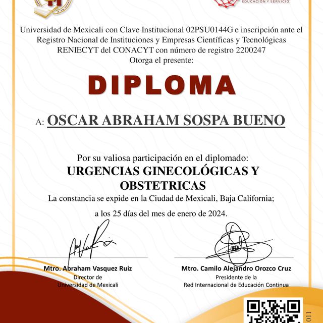 Ampliar imagen: certificate 2