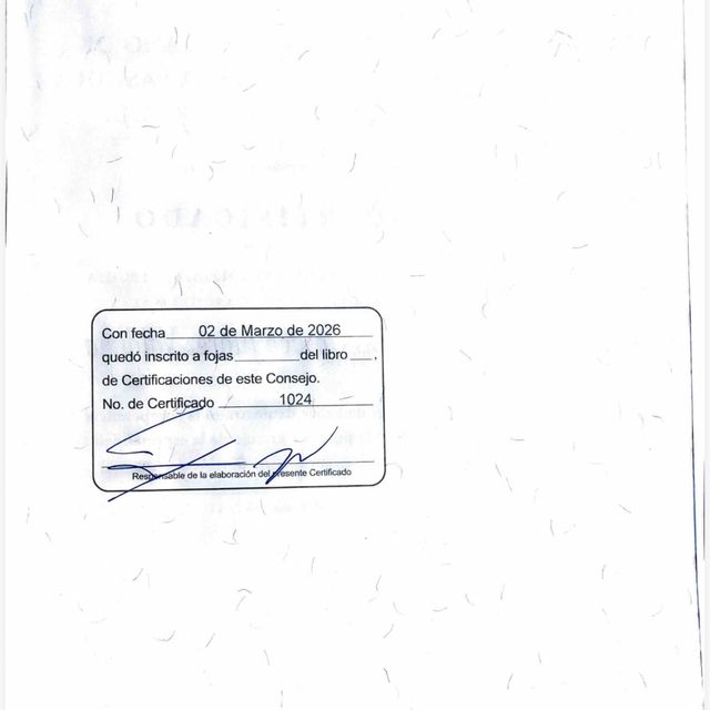 Ampliar imagen: certificate 2