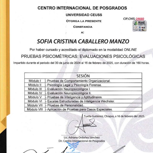 Ampliar imagen: certificate 4