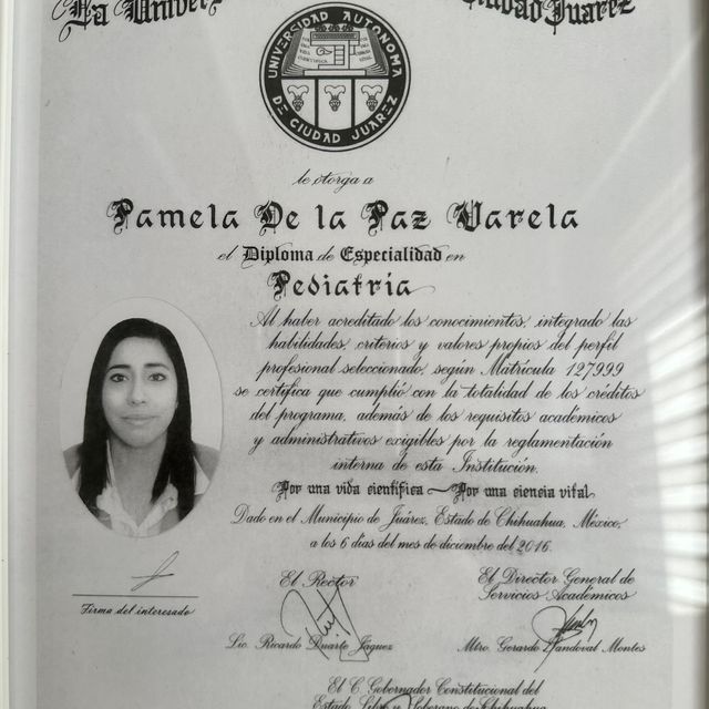 Ampliar imagen: certificate 3