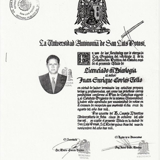 Ampliar imagen: certificate 1