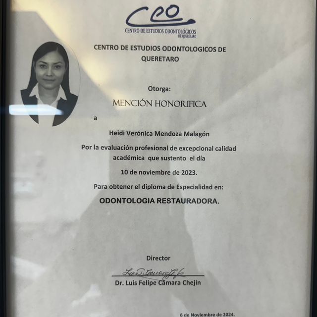 Ampliar imagen: certificate 3