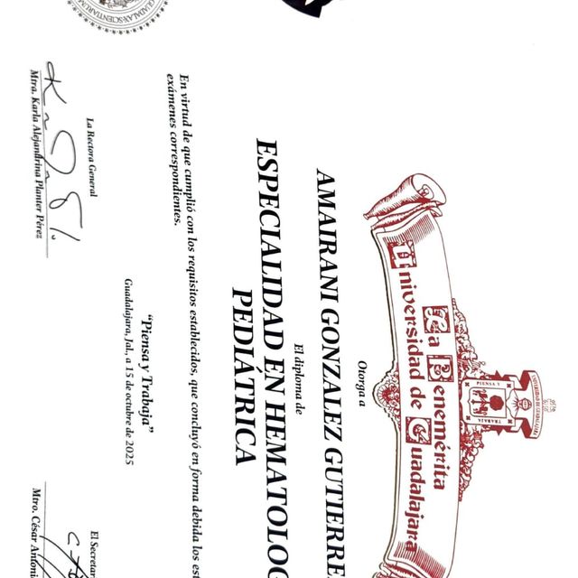 Ampliar imagen: certificate 4