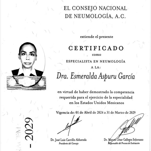 Ampliar imagen: certificate 5
