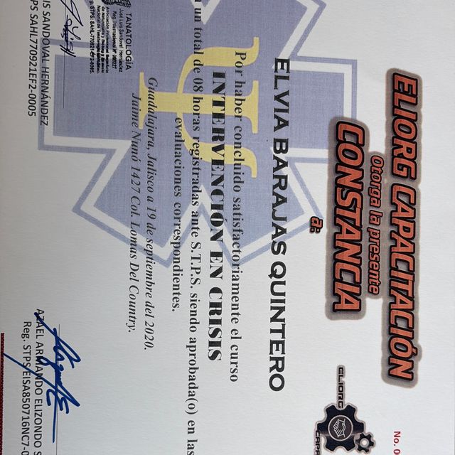 Ampliar imagen: certificate 2