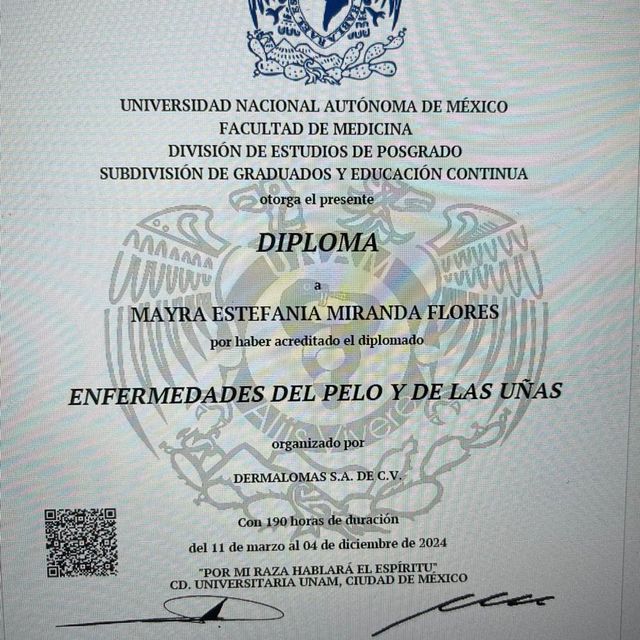 Ampliar imagen: certificate 1