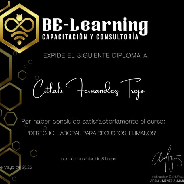Ampliar imagen: certificate 2