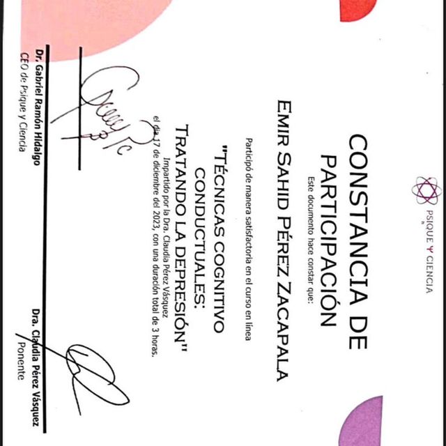 Ampliar imagen: certificate 4
