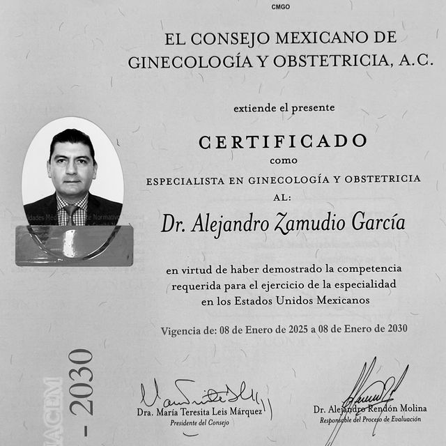 Ampliar imagen: certificate 4