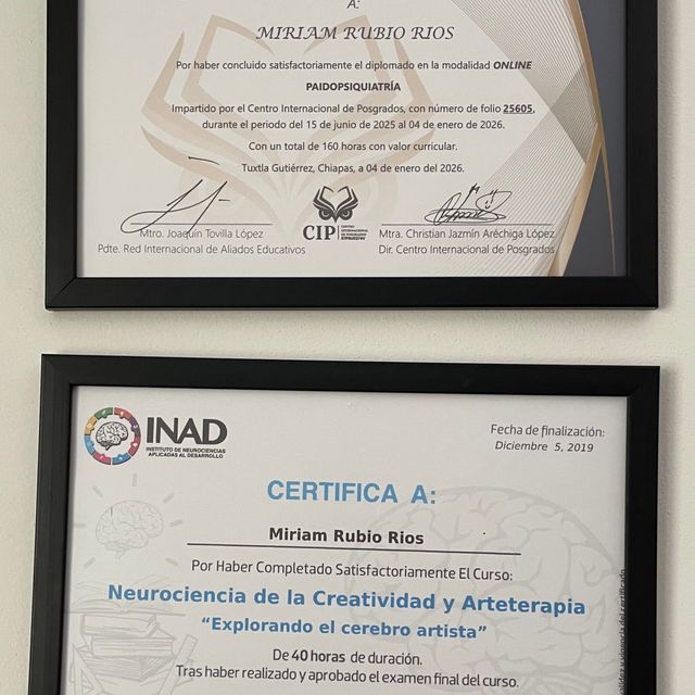 Ampliar imagen: certificate 8