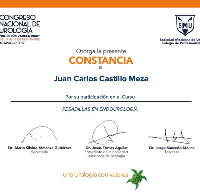 Ampliar imagen: certificate 5