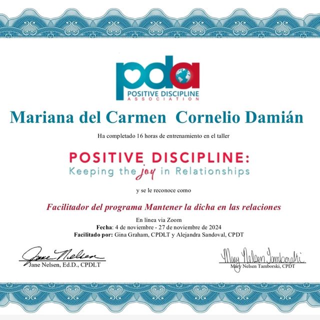 Ampliar imagen: certificate 4