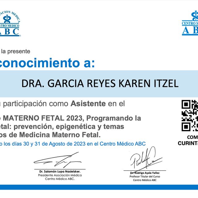 Ampliar imagen: certificate 3