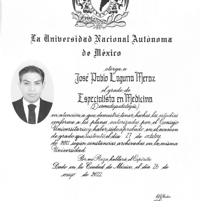 Ampliar imagen: certificate 7