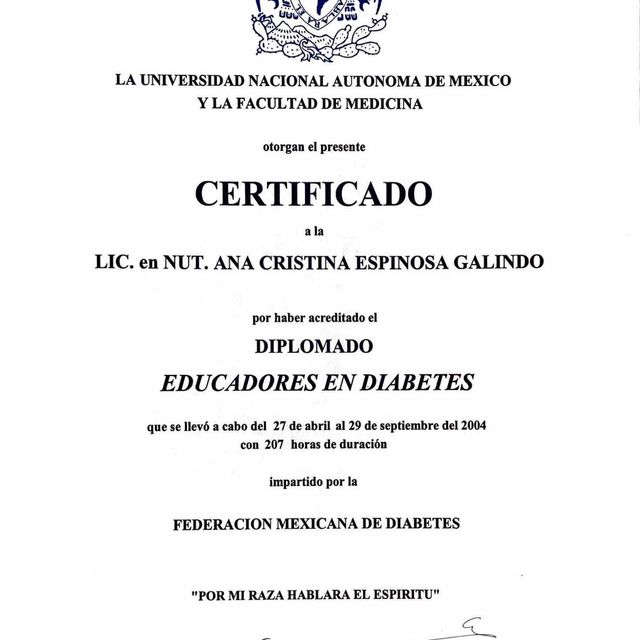 Ampliar imagen: certificate 2