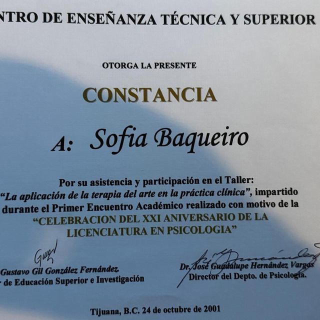 Ampliar imagen: certificate 5
