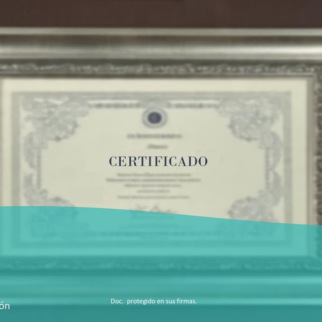 Ampliar imagen: certificate 1