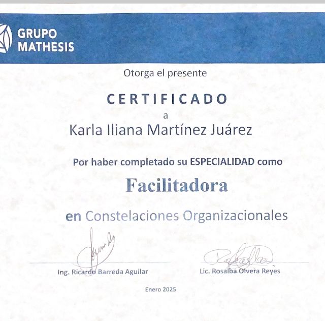 Ampliar imagen: certificate 15