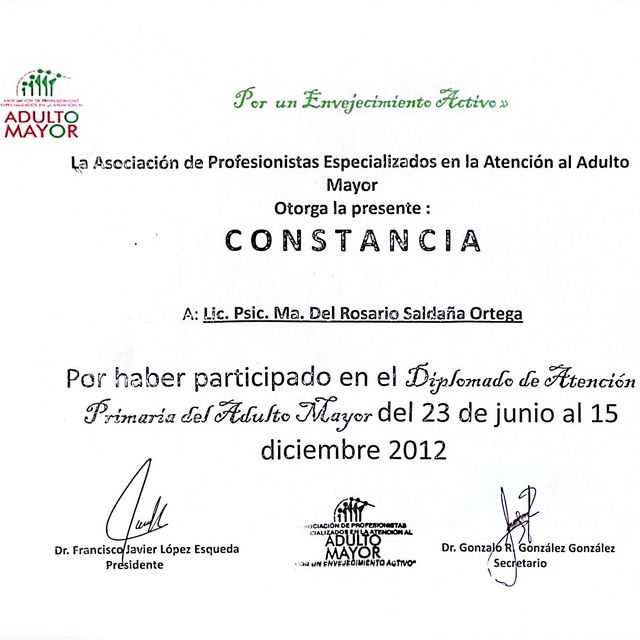 Ampliar imagen: certificate 22